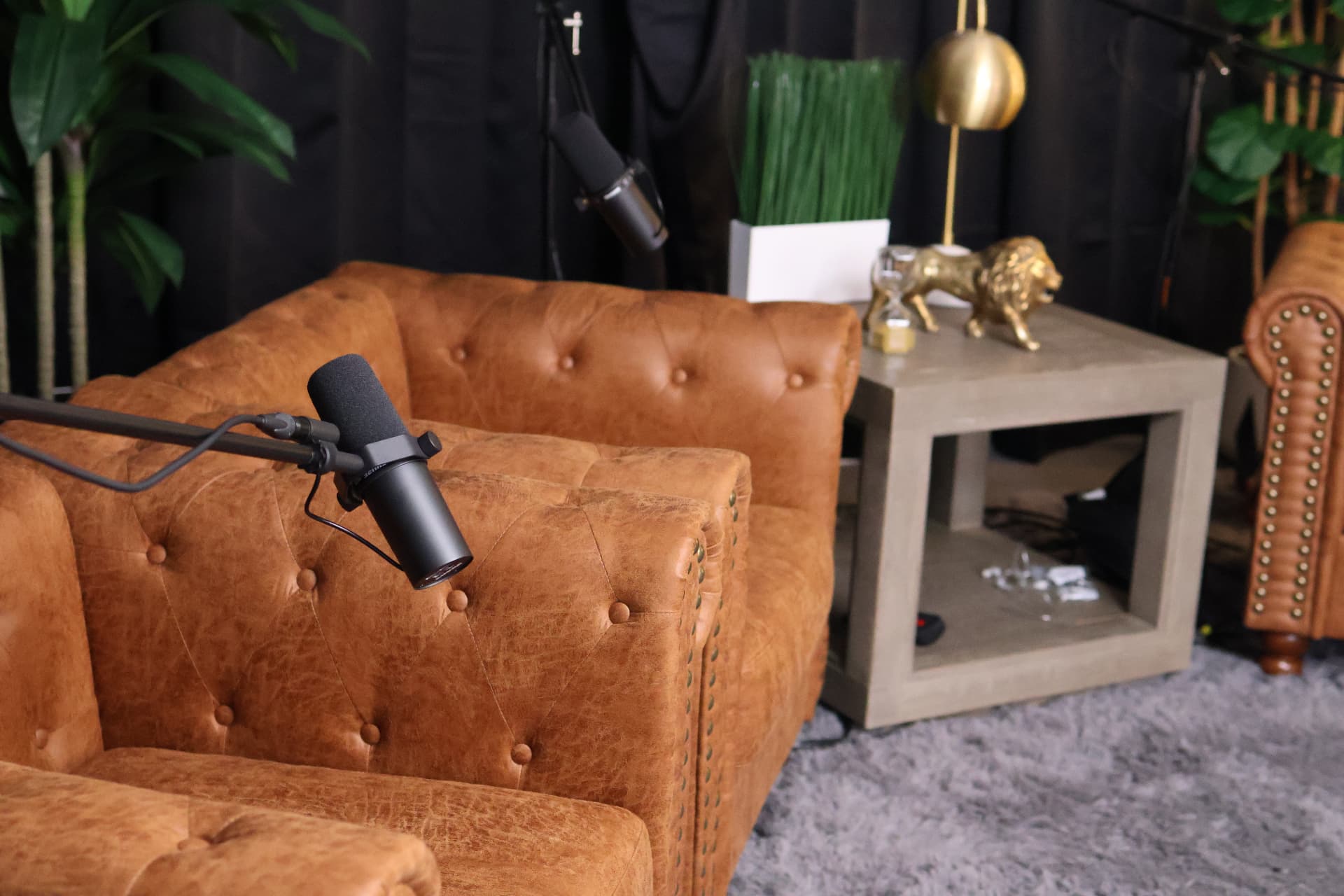 The Authentic Dentist broadcast studio